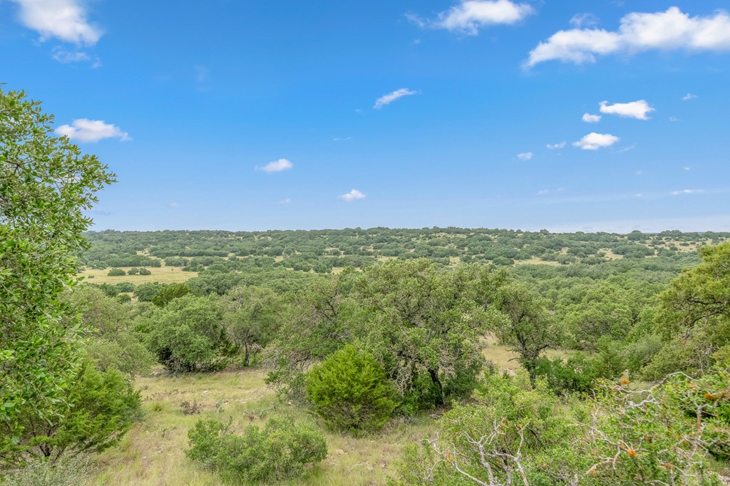 41 Rocksprings Tx 78880 Rocksprings, TX 78880 - Photo 30 of 62