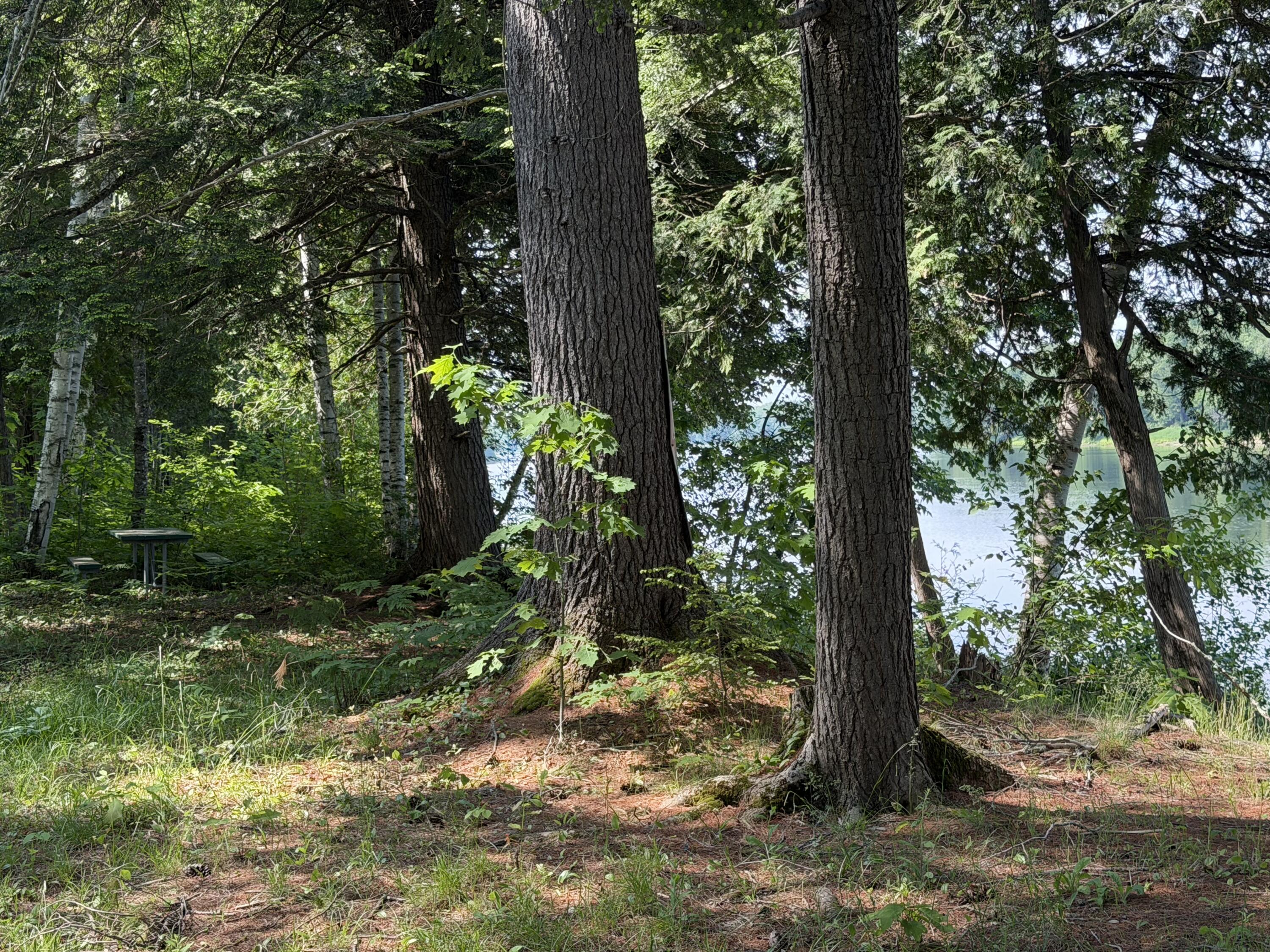 2a Main Road Greenbush, ME 04418 - Photo 12 of 12