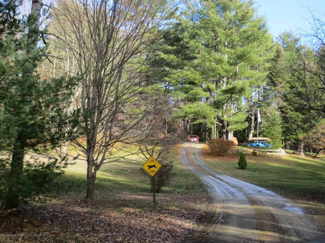347 Plain Road Bath, NH 03740 - Photo 1 of 33