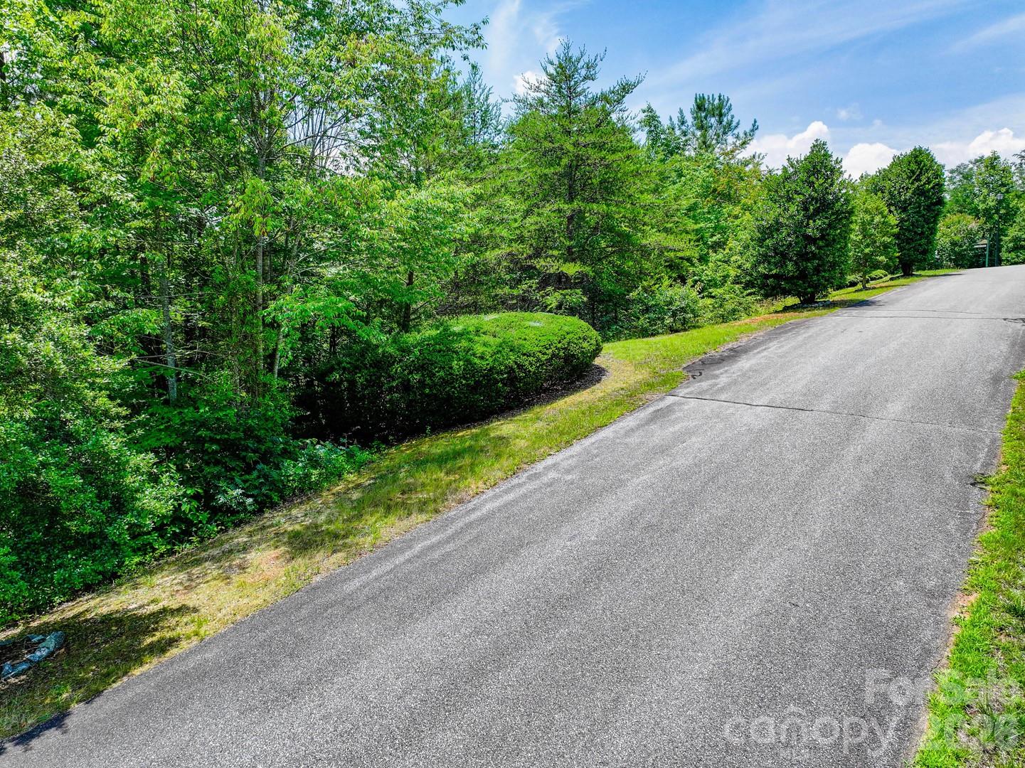121 Jobes Trail, Unit 35 Mill Spring, NC 28756 - Photo 10 of 20