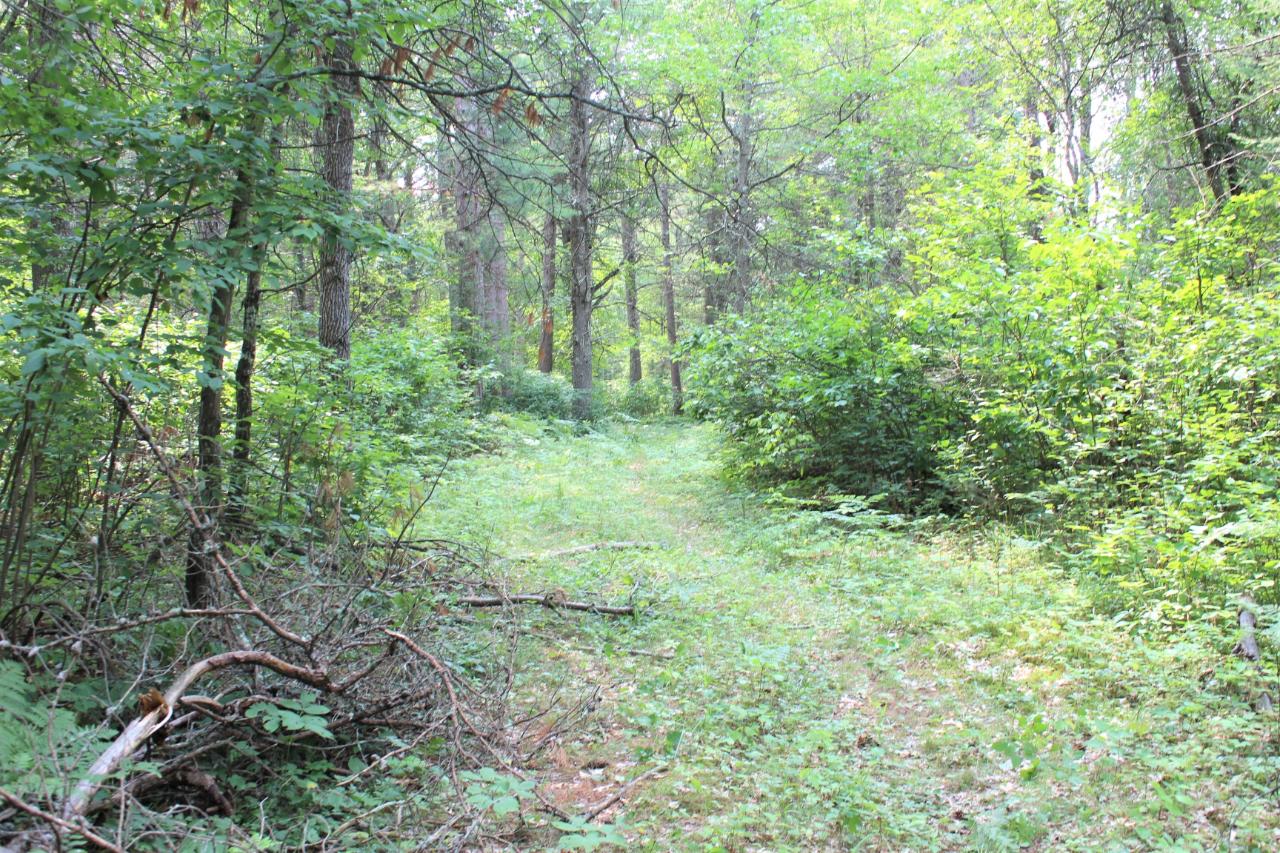 9974 Abe Road Tomahawk, WI 54487 - Photo 59 of 61 Gallery Image 59