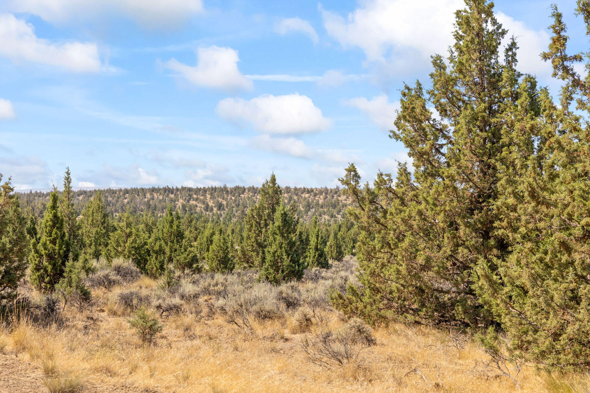 600 Southeast Tacoma Road Prineville, OR 97754 - Photo 6 of 38 6-web-or-mls-05
