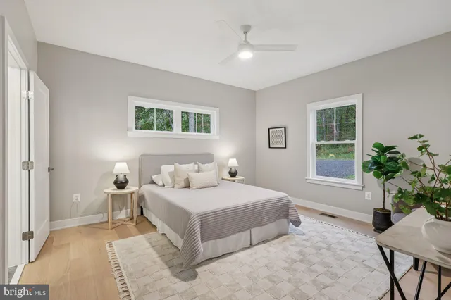 a bedroom with a large bed potted plant and a window