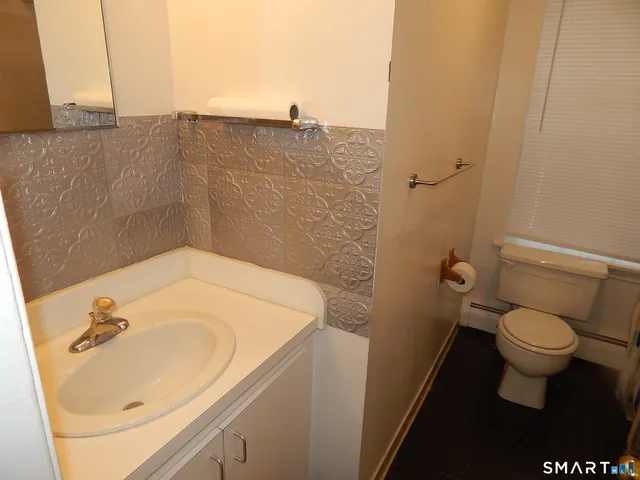 a bathroom with a sink and a toilet