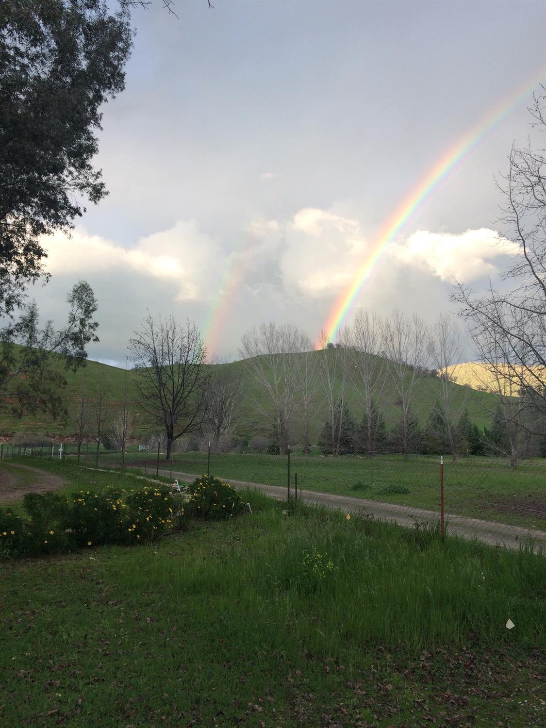 25757 East Trimmer Springs Road Sanger, CA 93657 - Photo 23 of 28 Find the gold before Saint Patrick's Day
