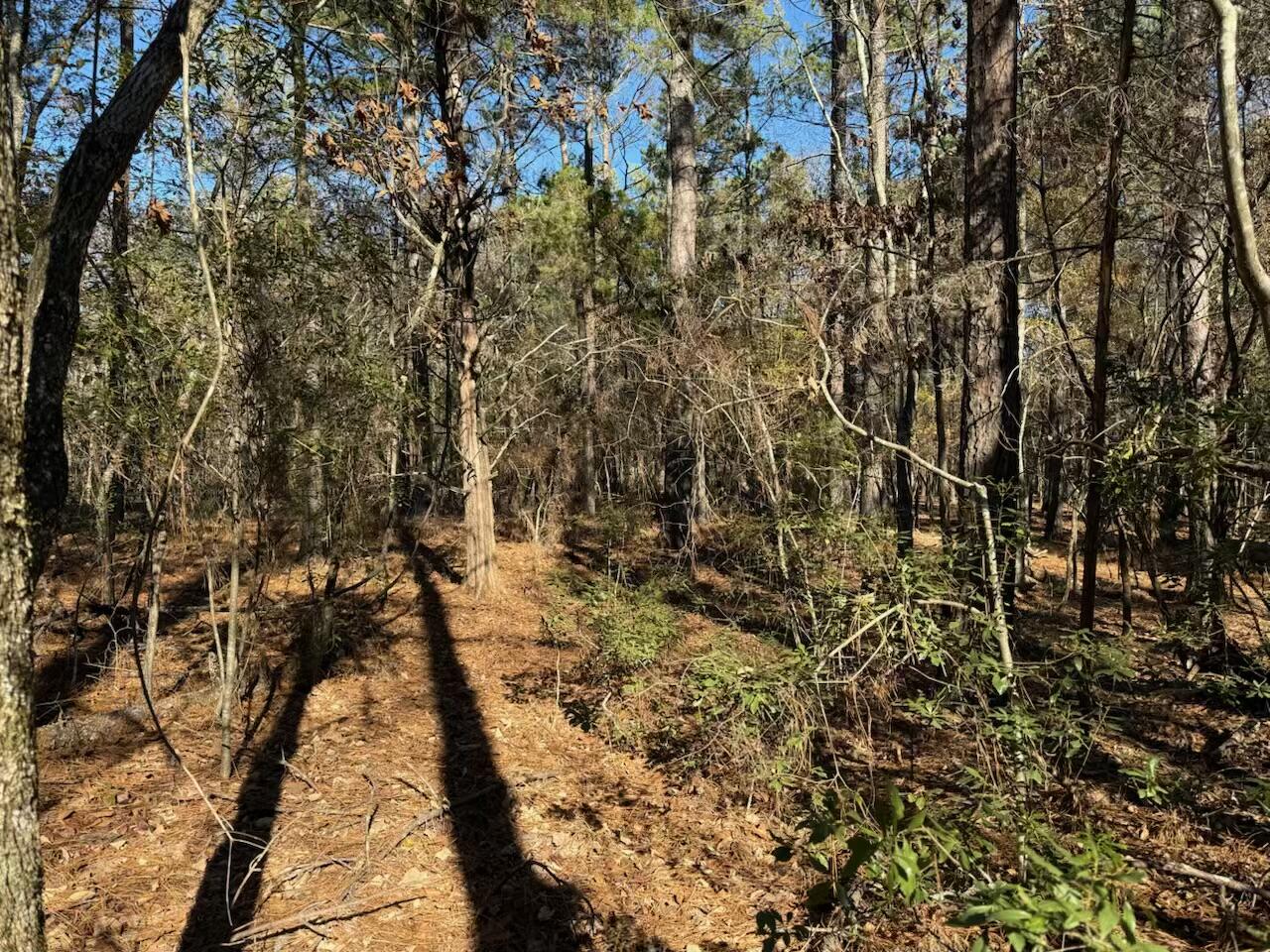 0 Piney Woods Road Lincolnton, GA 30817 - Photo 2 of 3 IMG_4292