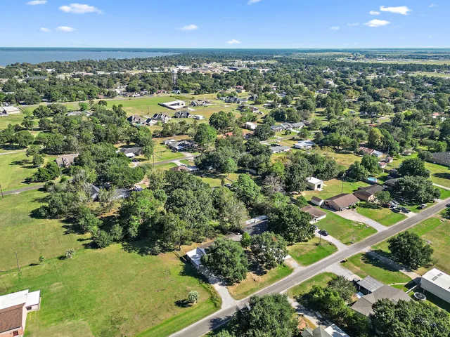 an aerial view of residential houses with outdoor space and trees