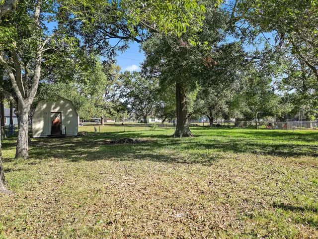 a view of a yard with a tree
