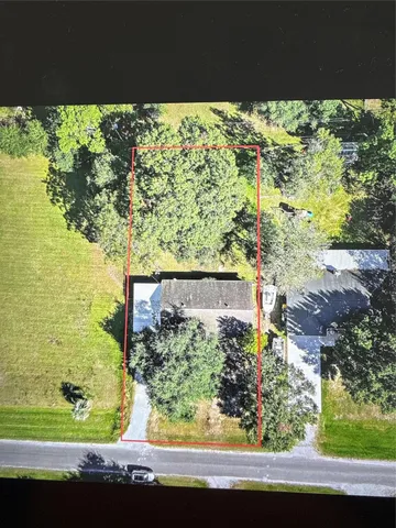 a view of a garden from a window