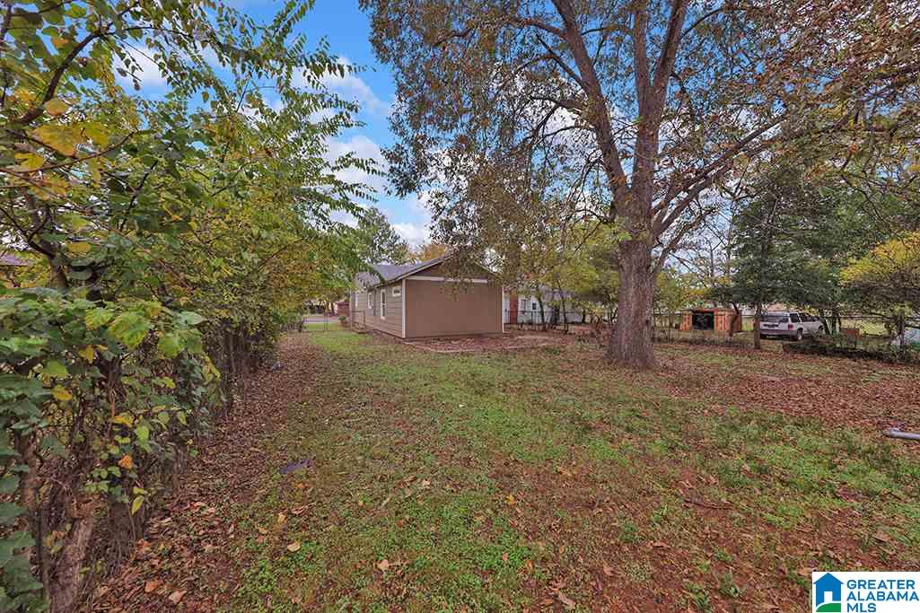 501 Omega Street South Birmingham, AL 35205 - Photo 5 of 22