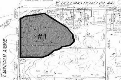 11675 Belding Road Northeast, Unit 1 Belding, MI 48809 - Photo 1 of 1 Primary Photo