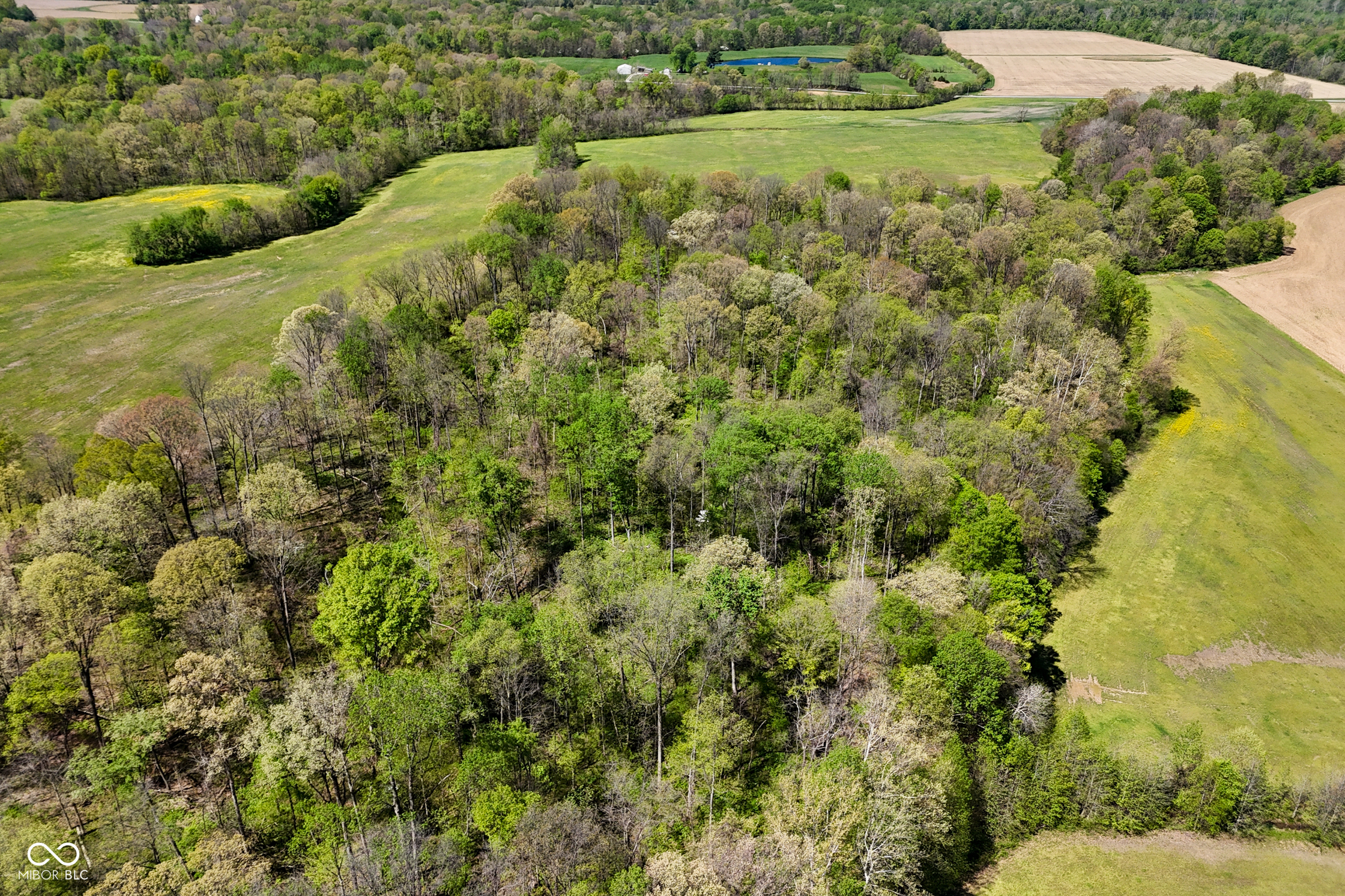 0 East County Rd 300 South Bowling Green, IN 47833 - Photo 18 of 55