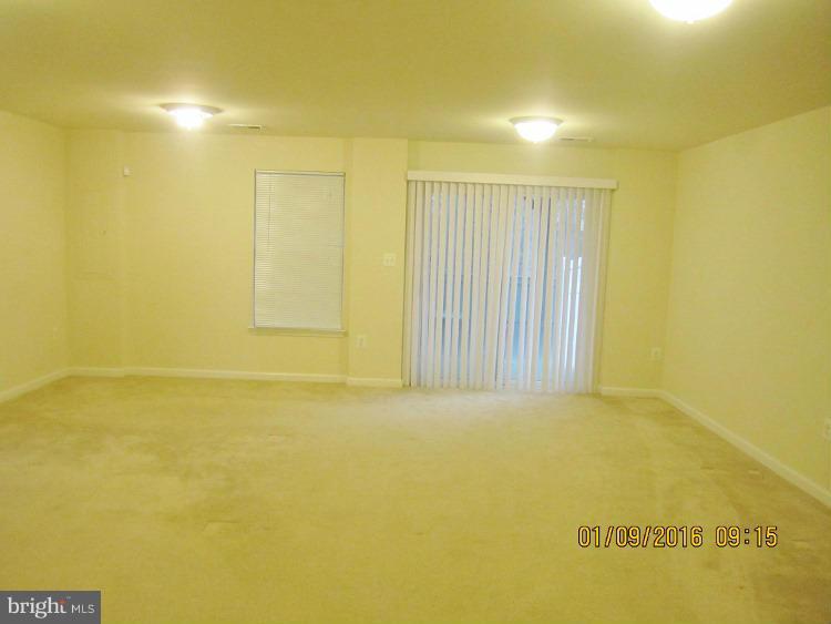201 Alba Road Fredericksburg, VA 22405 - Photo 3 of 18 Basement