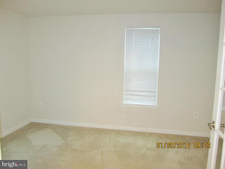 201 Alba Road Fredericksburg, VA 22405 - Photo 4 of 18 Basement/Den/Office