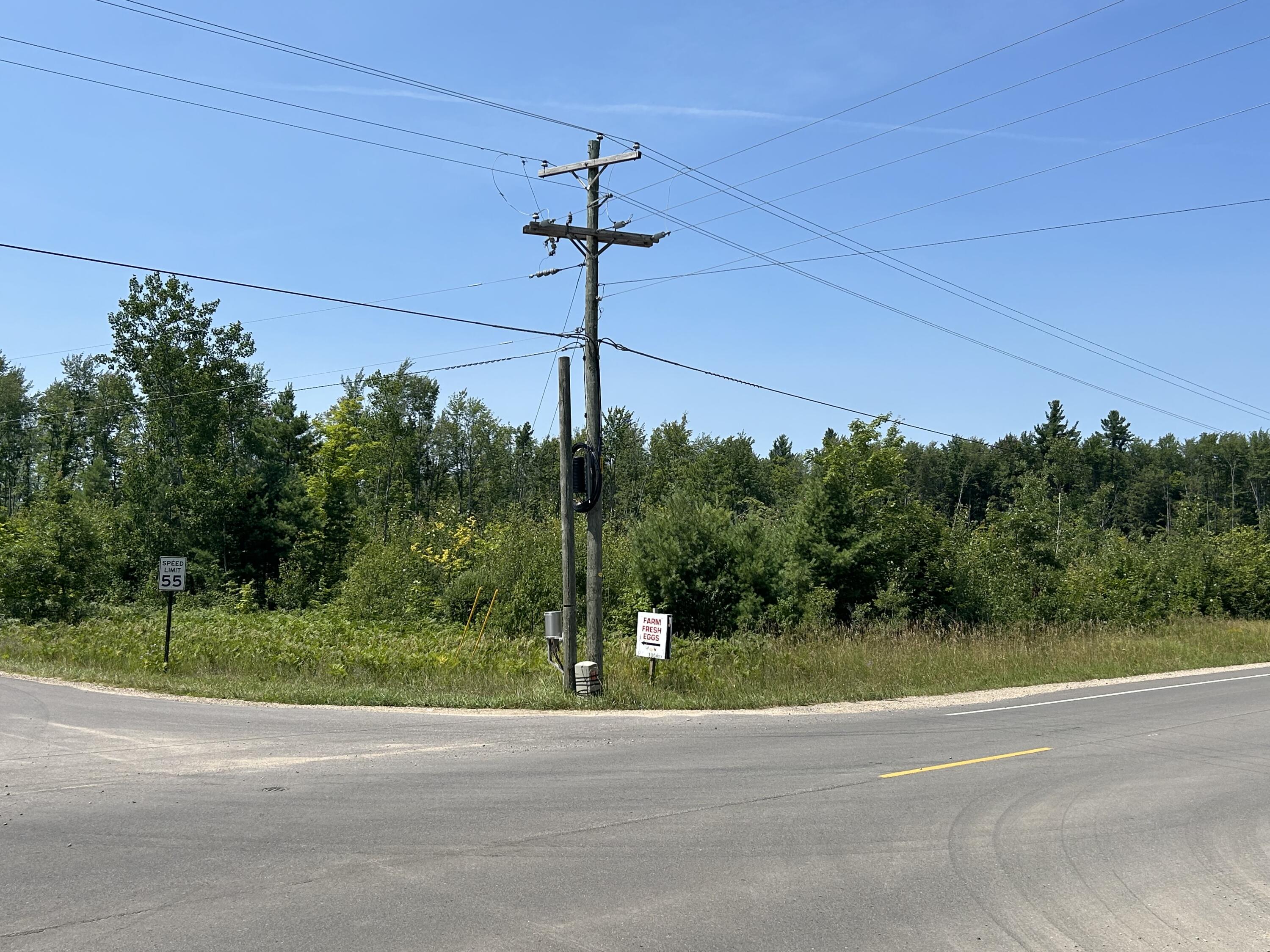 Hayes Tower Road Gaylord, MI 49735 - Photo 15 of 15 Gallery Image 15