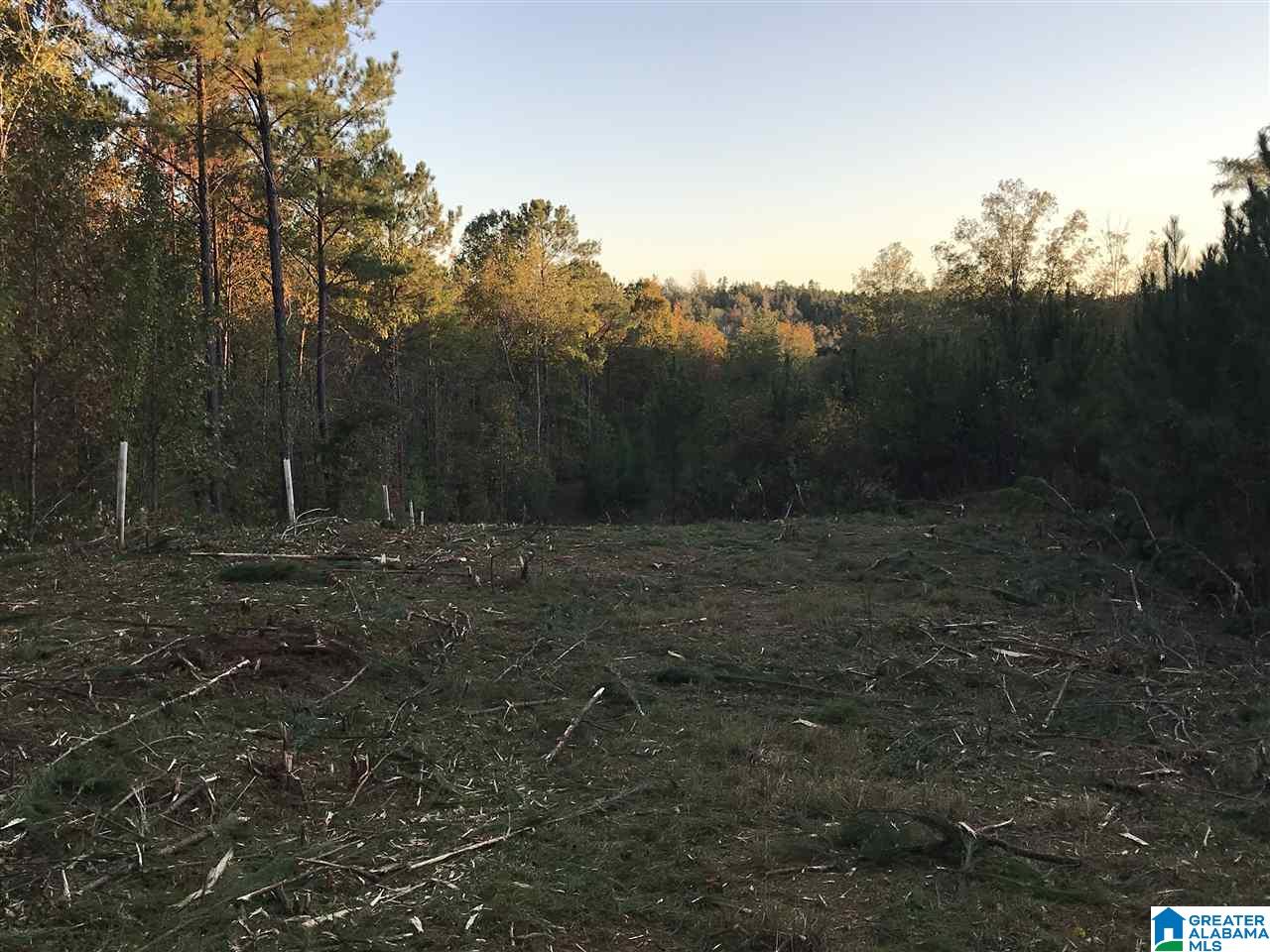 0 County Road 546 Verbena, AL 36091 - Photo 12 of 13