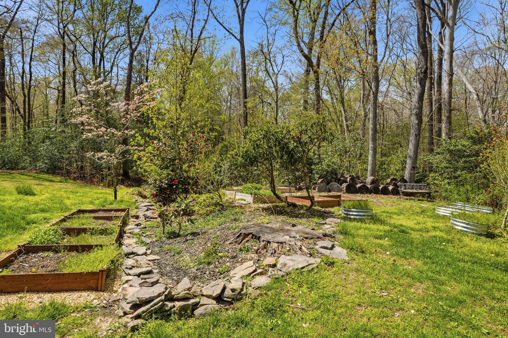 10401 3 Doctors Road Dunkirk, MD 20754 - Photo 56 of 62