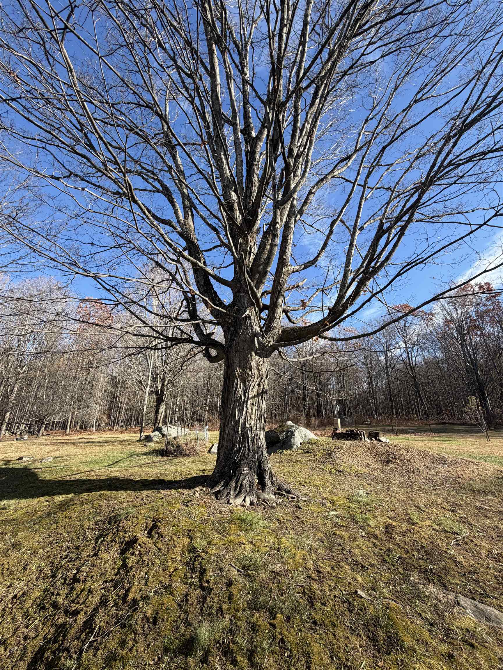 0 Pease Road Meredith, NH 03253 - Photo 2 of 13