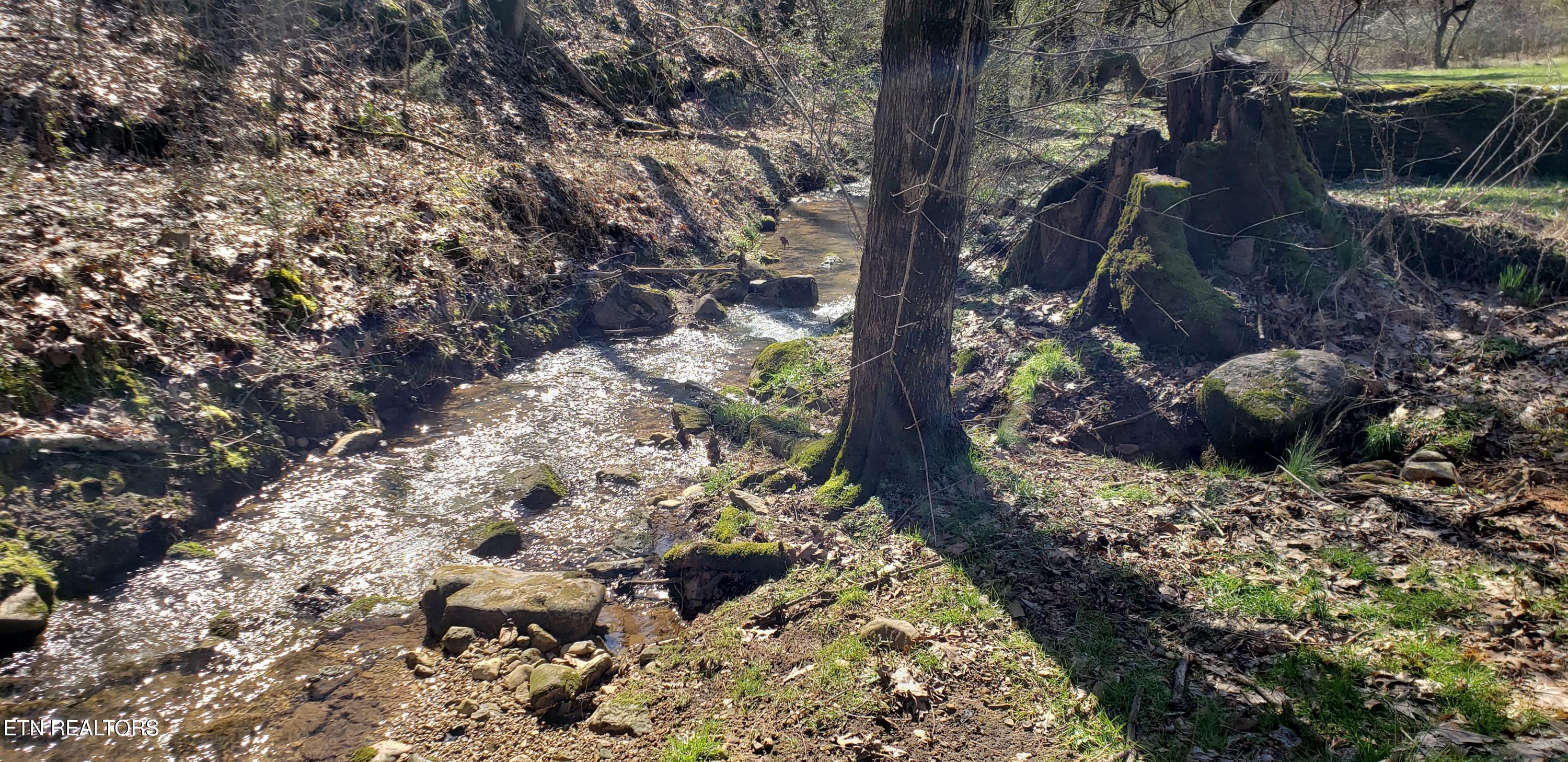 269 Mountain Mist Lane Del Rio, TN 37727 - Photo 11 of 18 del rio 7