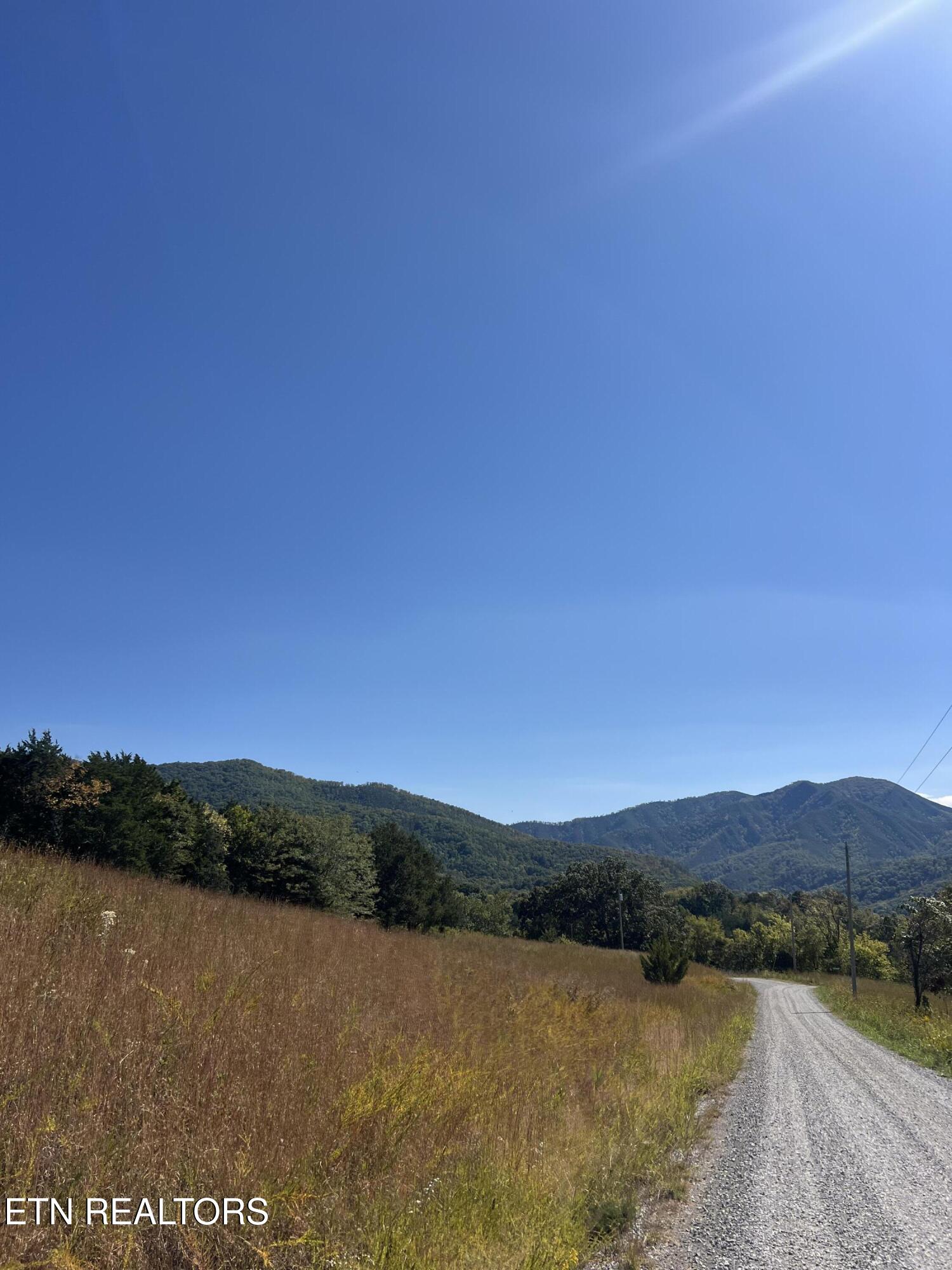 269 Mountain Mist Lane Del Rio, TN 37727 - Photo 12 of 18 IMG_7122