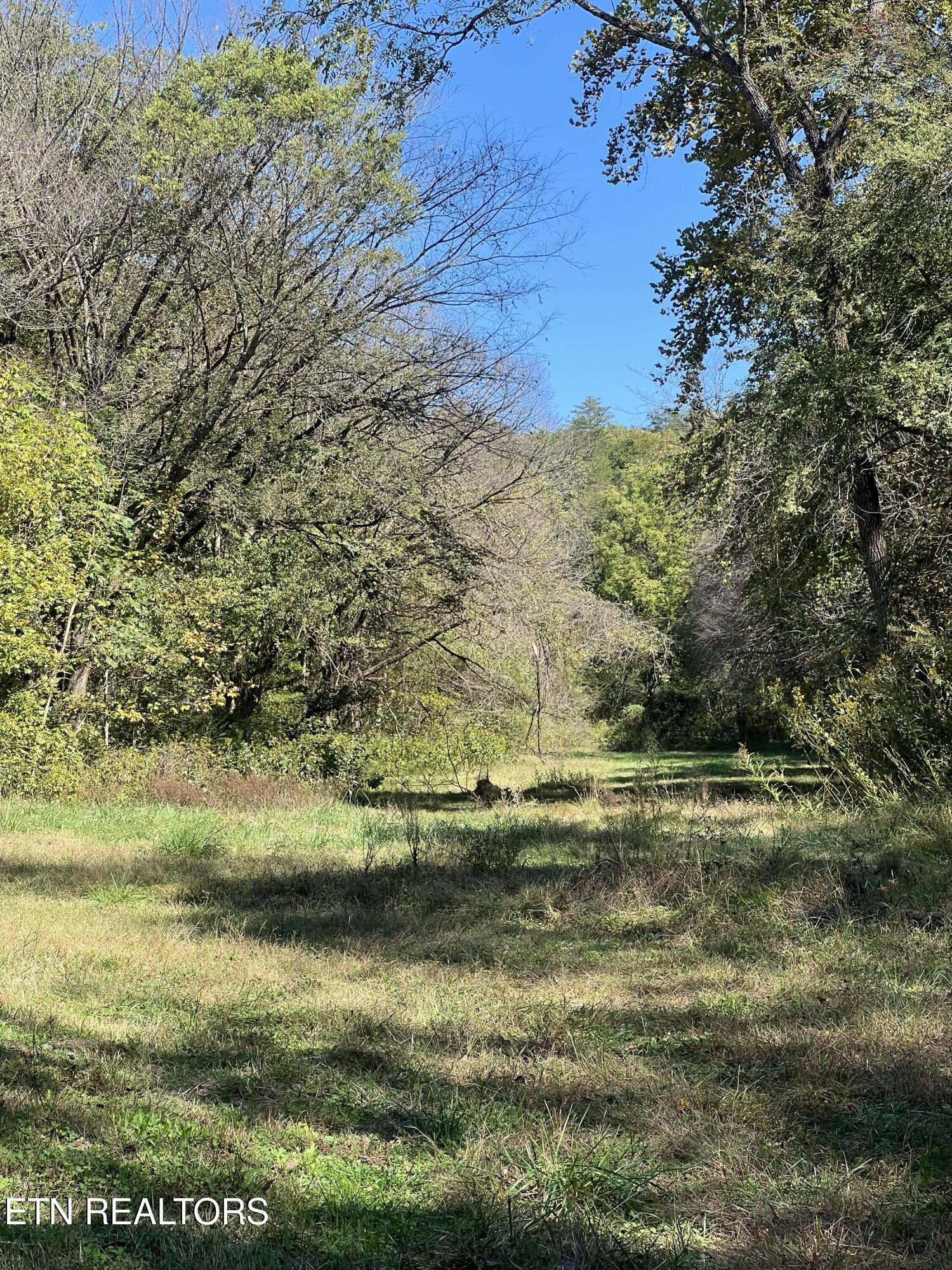 269 Mountain Mist Lane Del Rio, TN 37727 - Photo 14 of 18 IMG_7125