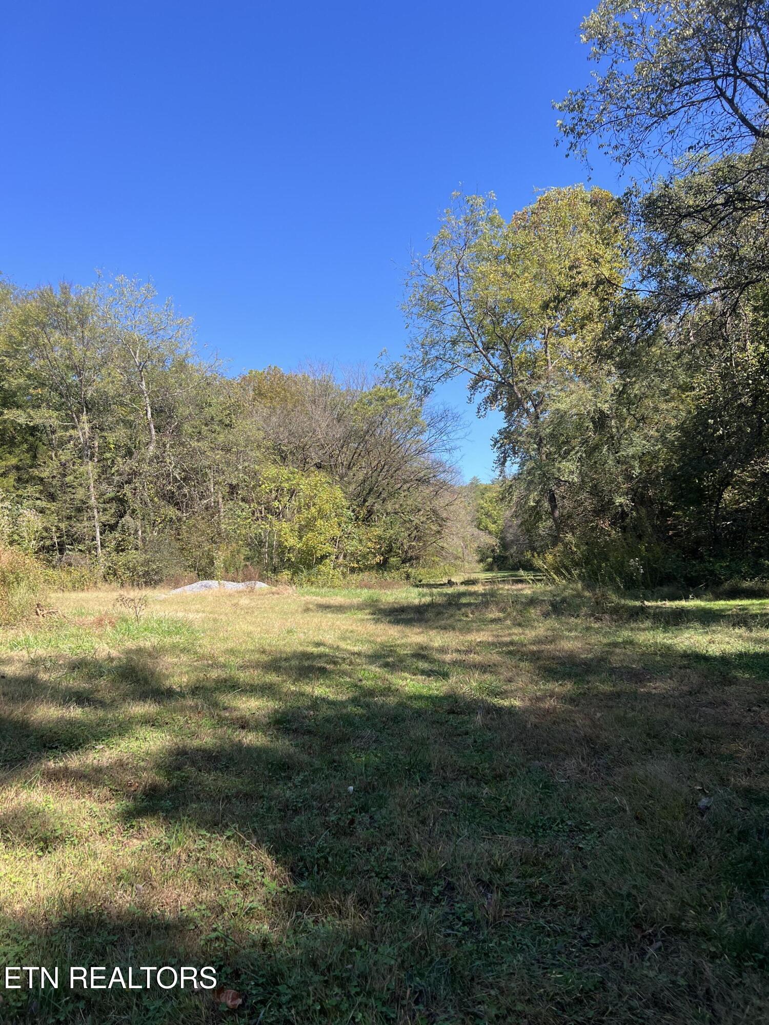 269 Mountain Mist Lane Del Rio, TN 37727 - Photo 15 of 18 IMG_7124