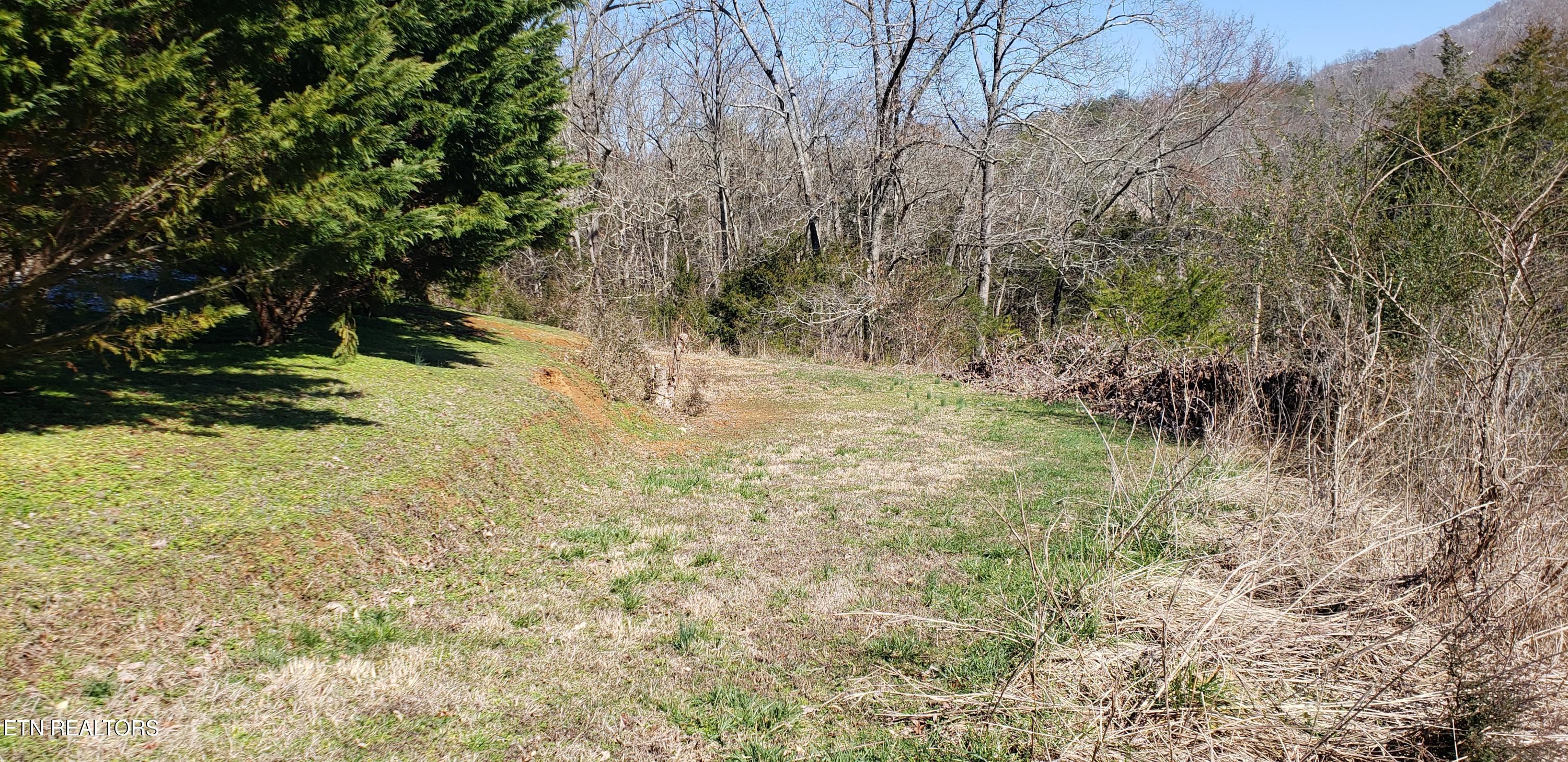 269 Mountain Mist Lane Del Rio, TN 37727 - Photo 16 of 18 del rio 5