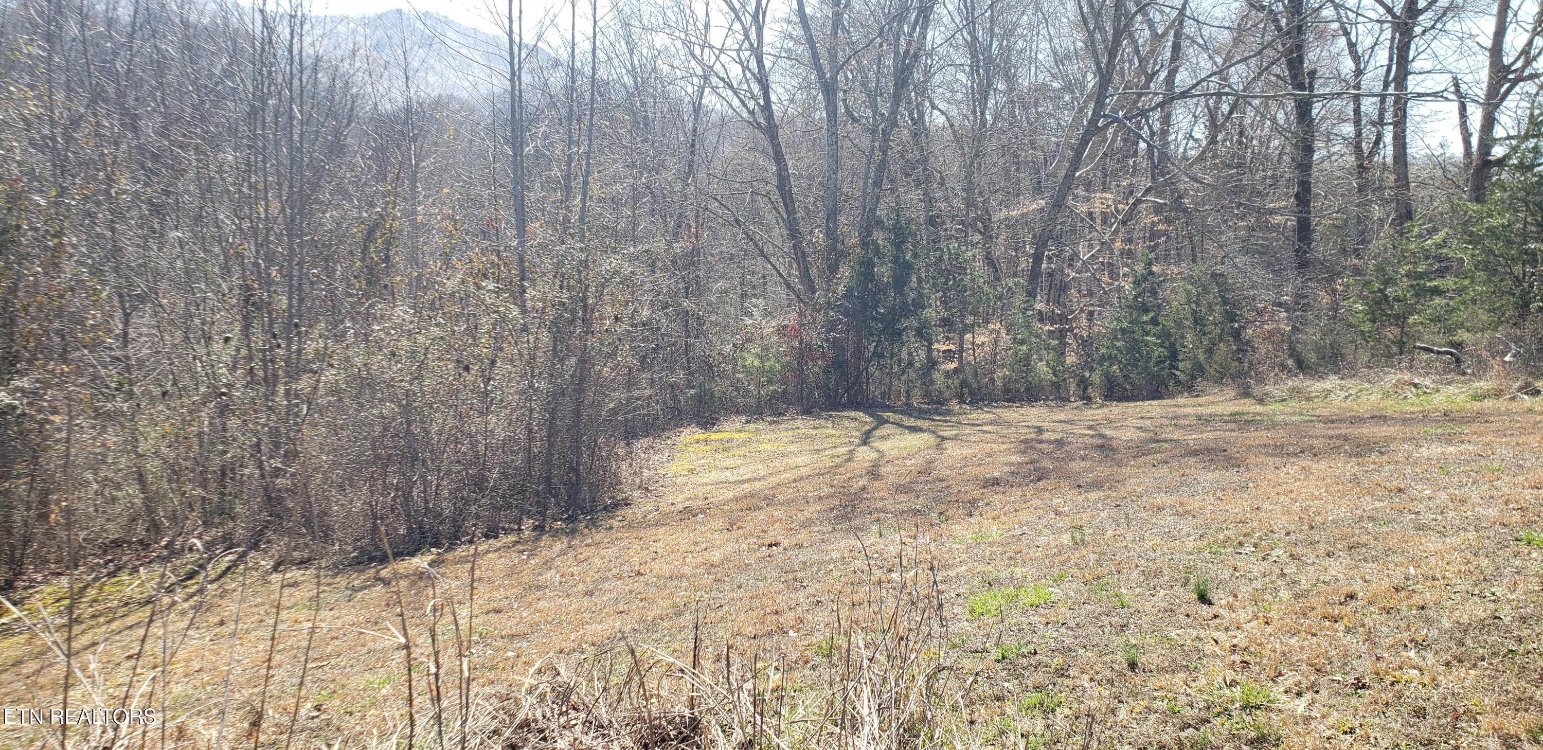 269 Mountain Mist Lane Del Rio, TN 37727 - Photo 17 of 18 del rio 6