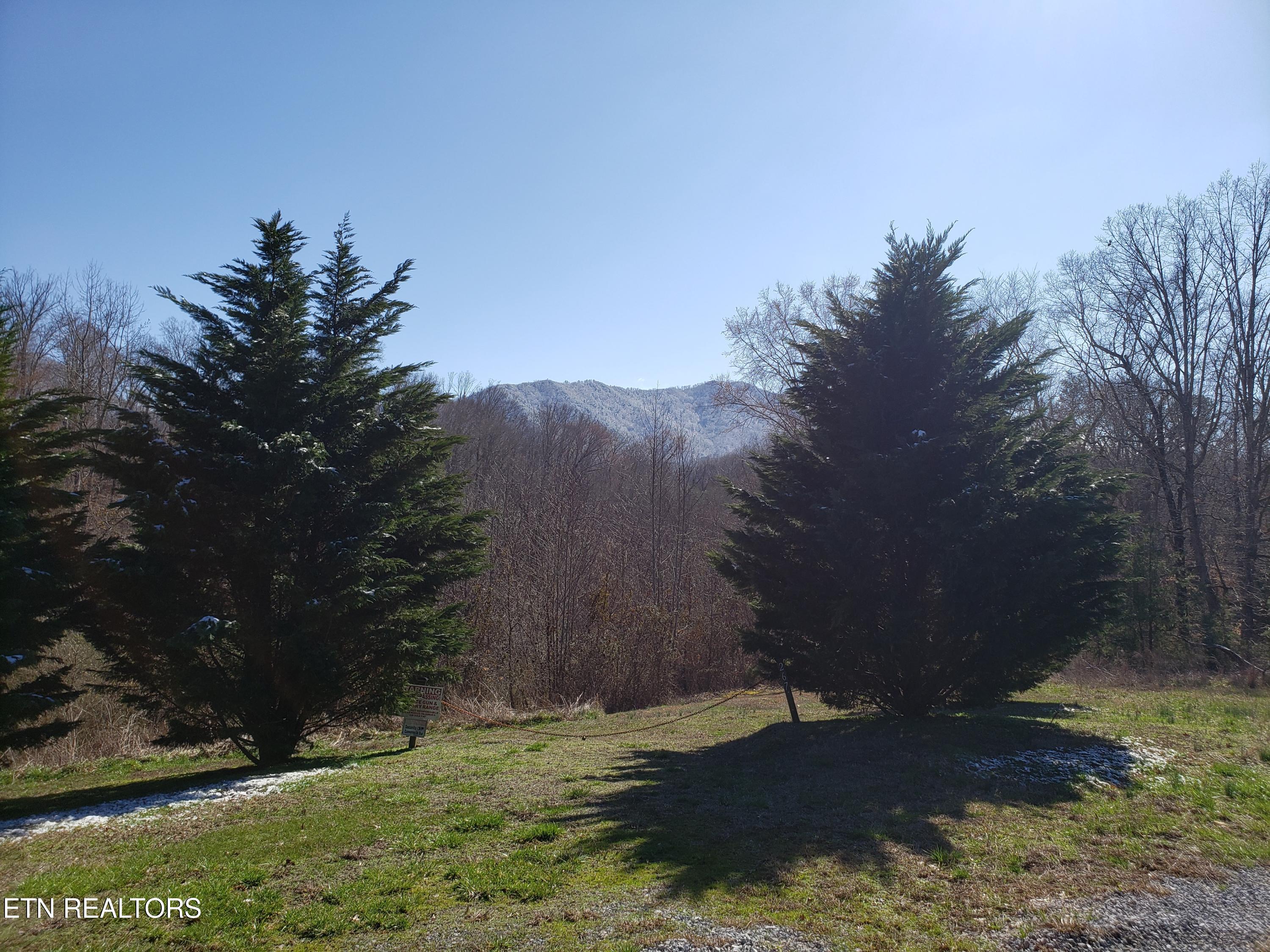 269 Mountain Mist Lane Del Rio, TN 37727 - Photo 18 of 18 del rio1