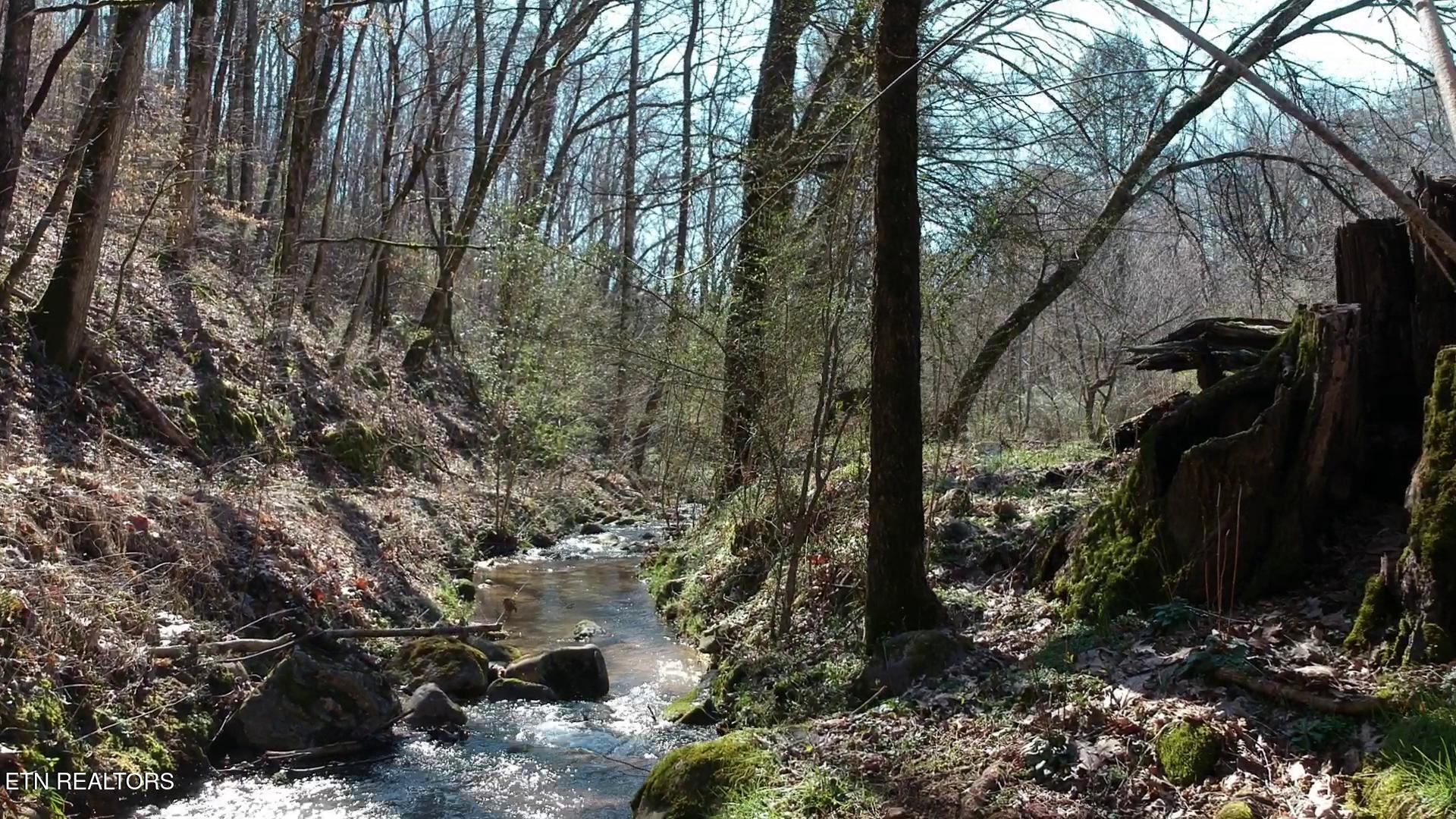 269 Mountain Mist Lane Del Rio, TN 37727 - Photo 10 of 18 del rio 4