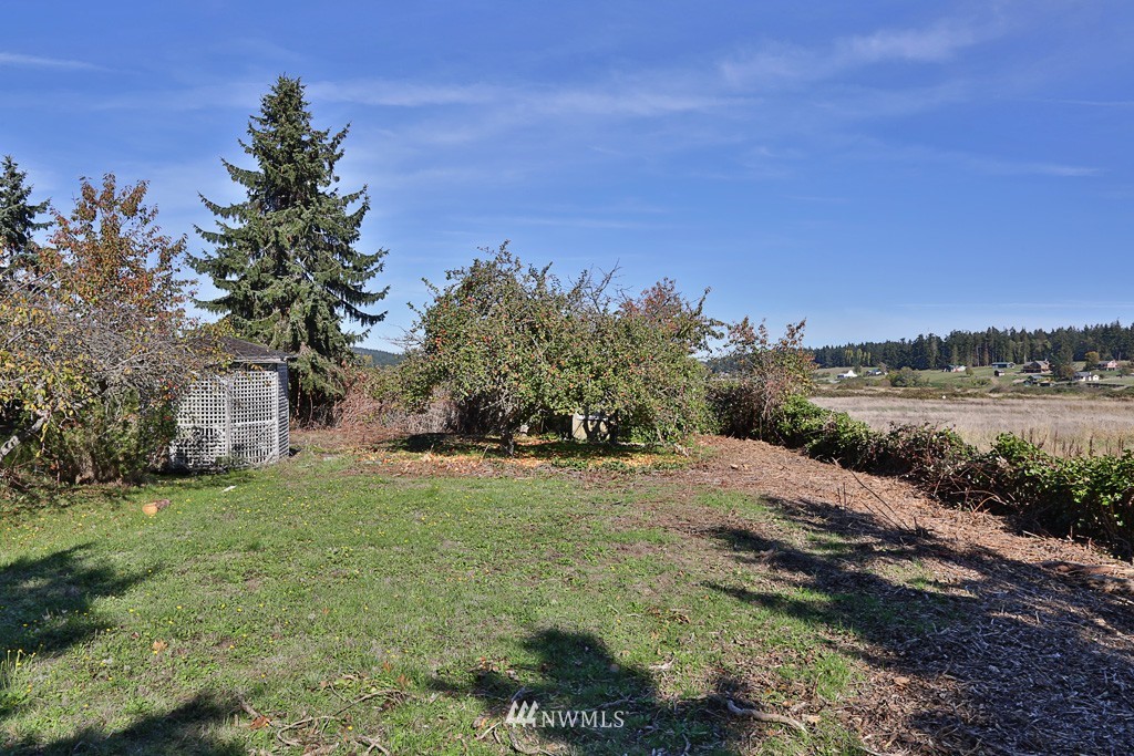 2551 Sunlight Beach Road Clinton, WA 98236 - Photo 11 of 18 Gallery Image 11