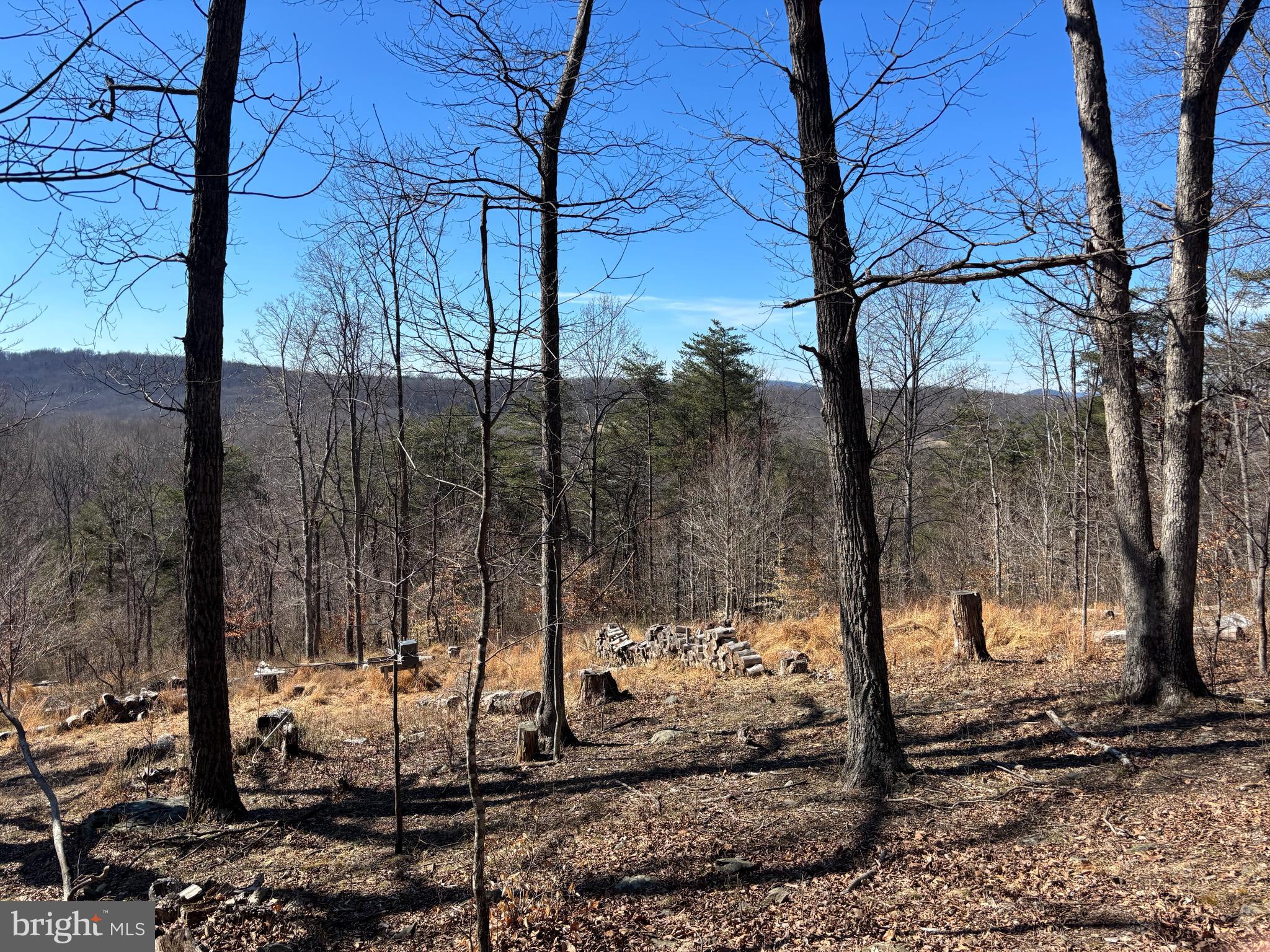 Carters Run Marshall, VA 20115 - Photo 4 of 10