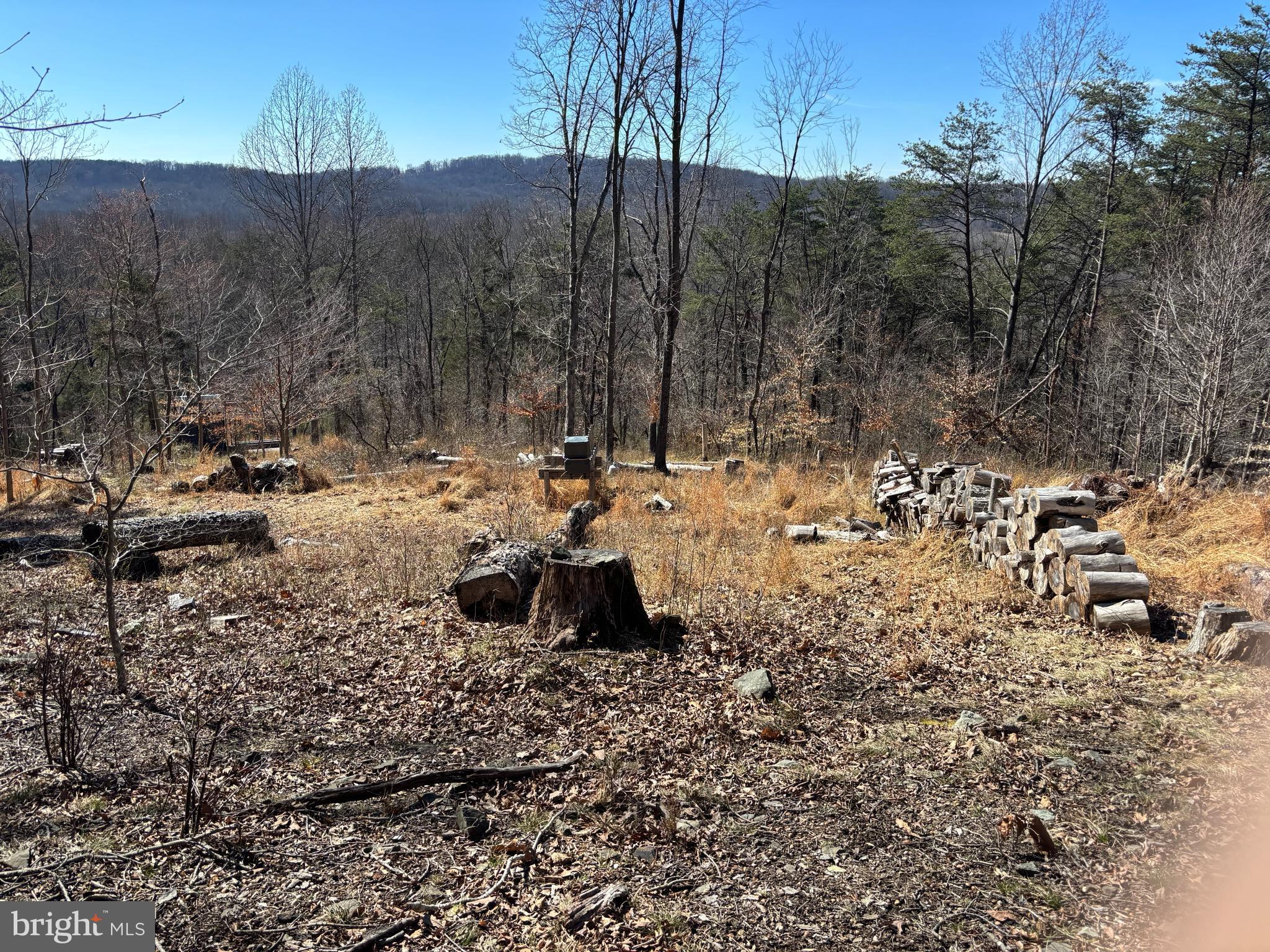 Carters Run Marshall, VA 20115 - Photo 5 of 10