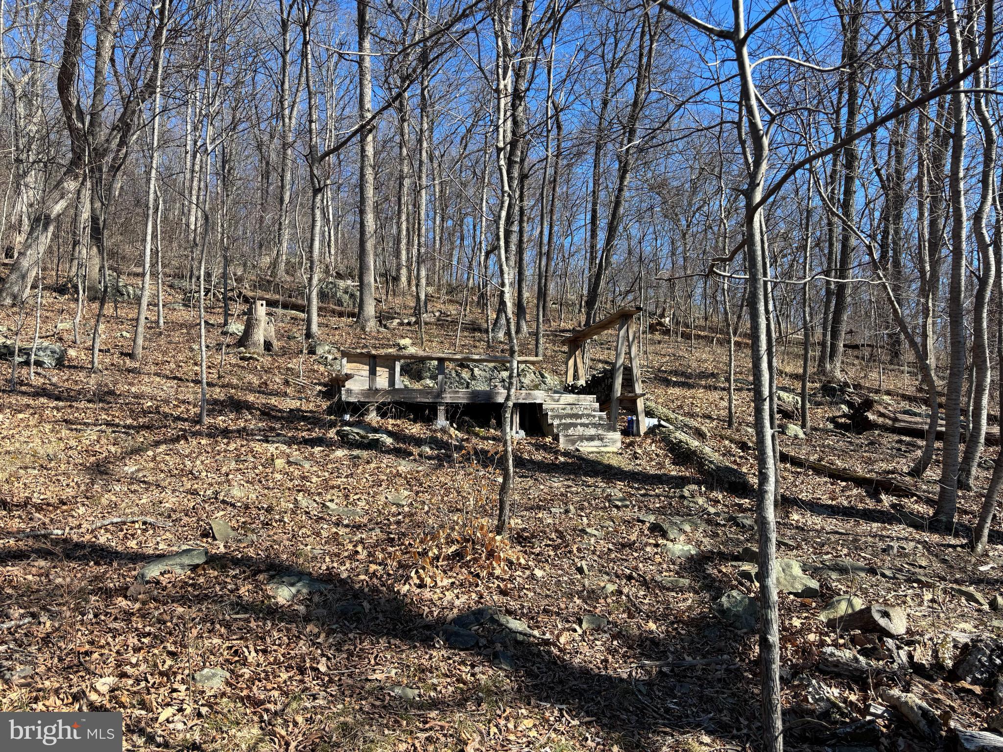 Carters Run Marshall, VA 20115 - Photo 6 of 10