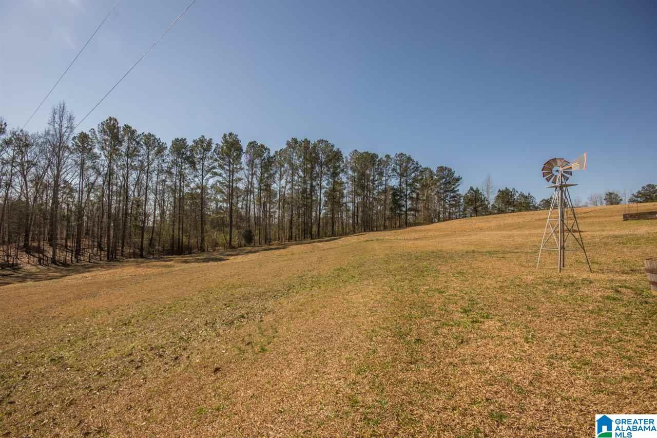 1070 Highway 54 Montevallo, AL 35115 - Photo 30 of 32