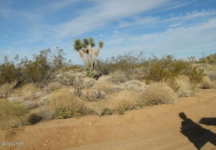 811 South Kit Carson Road Yucca, AZ 86438 - Photo 2 of 7 1009678.3