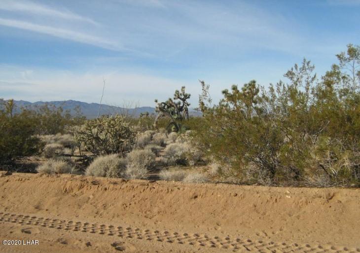 811 South Kit Carson Road Yucca, AZ 86438 - Photo 3 of 7 1009678.4