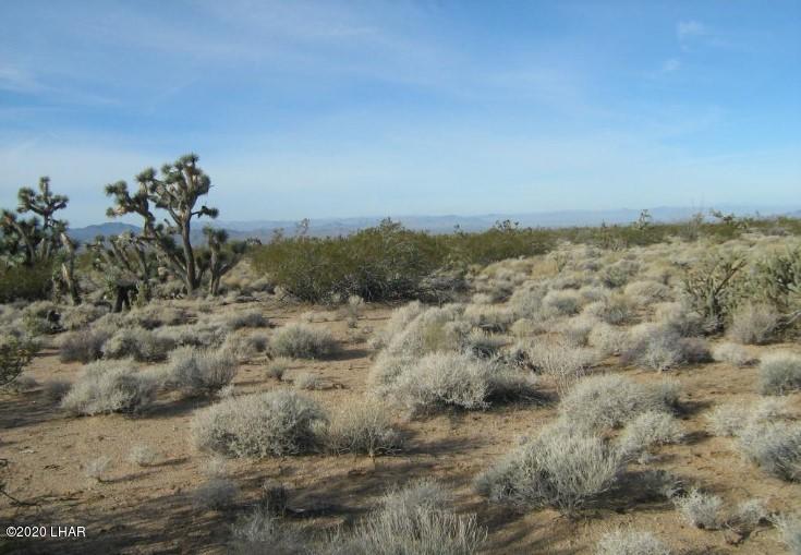 811 South Kit Carson Road Yucca, AZ 86438 - Photo 4 of 7 1009678.5