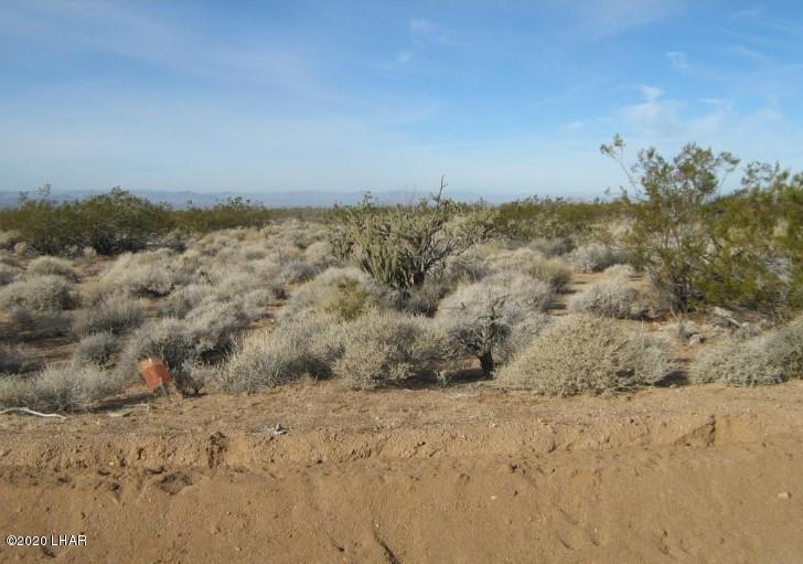 811 South Kit Carson Road Yucca, AZ 86438 - Photo 5 of 7 1009678.6