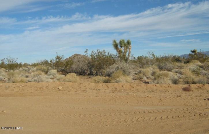 811 South Kit Carson Road Yucca, AZ 86438 - Photo 6 of 7 1009678