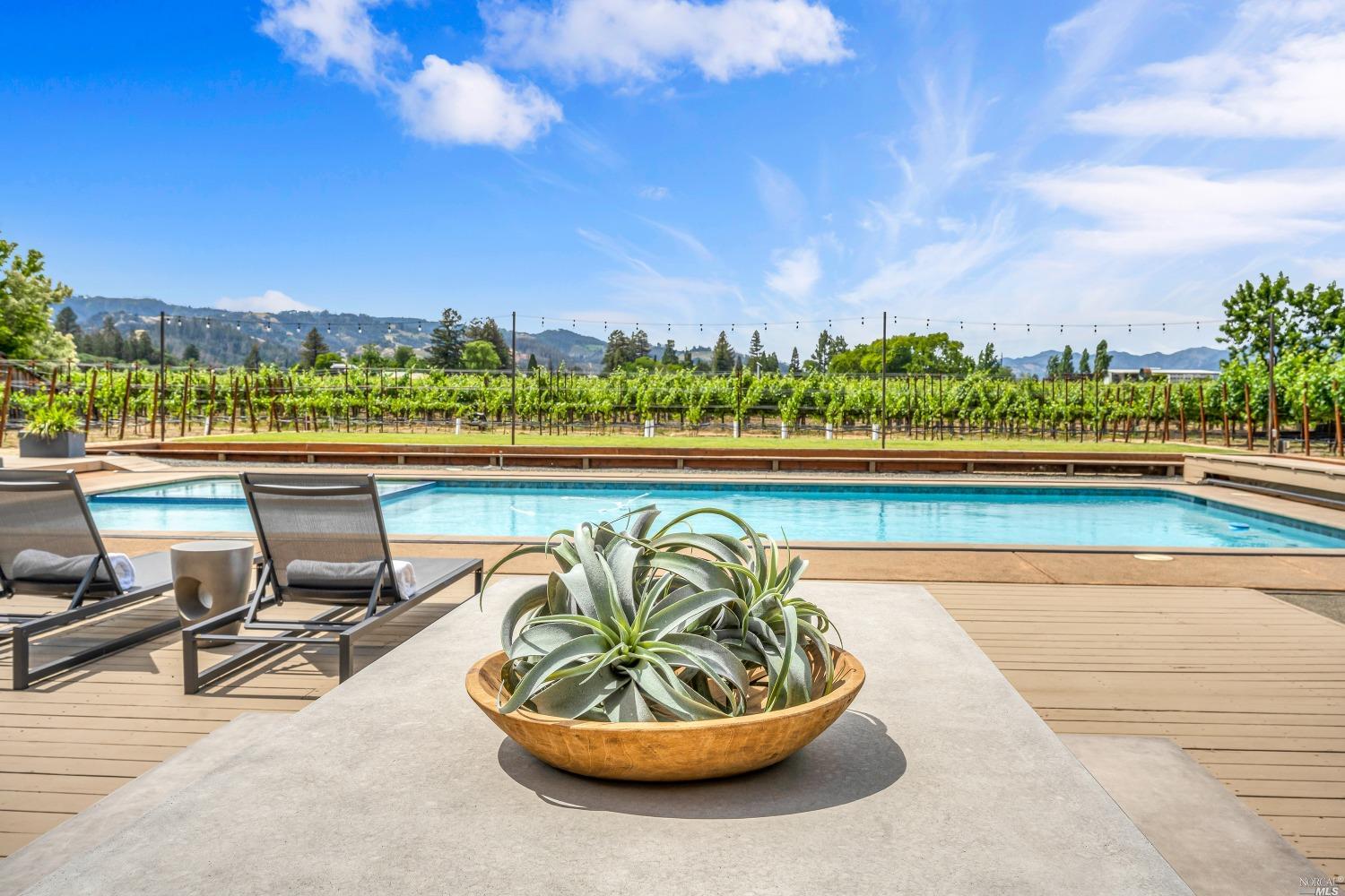 a view of a swimming pool and lounge chair