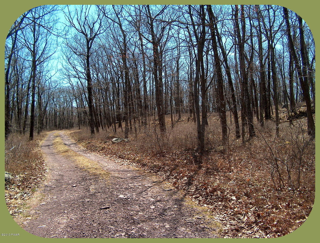 156 3 Legged Swamp Road Canadensis, PA 18325 - Photo 11 of 72