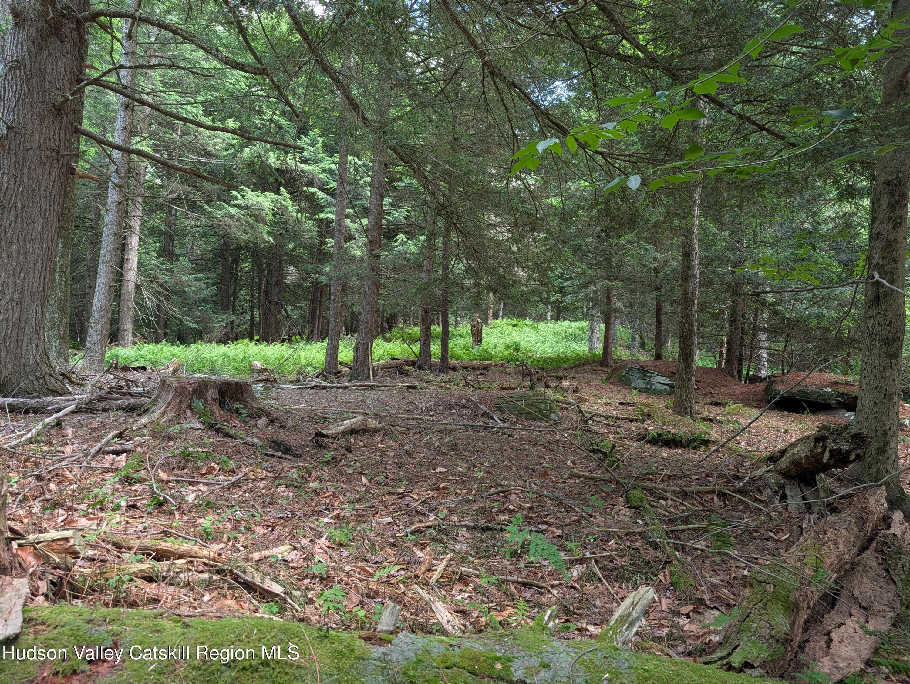 0 Ballard Road Mongaup Valley, NY 12762 - Photo 4 of 10 Ballard partially cleared area