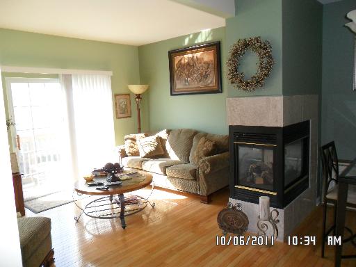 573 Declaration Lane Aurora, IL 60502 - Photo 3 of 16