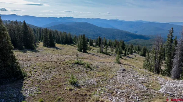 $565,000 | 220 Geneva Lane, Ohio City, CO 81237