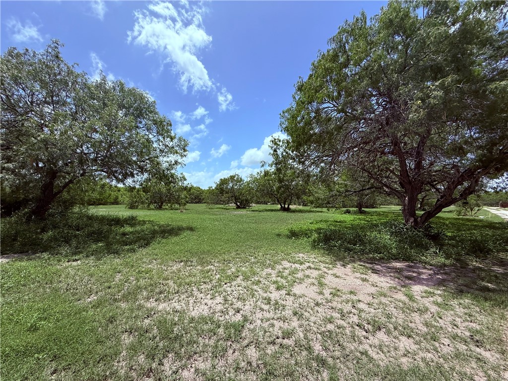 5742 Hidden Valley Loop Sandia, TX 78383 - Photo 10 of 32