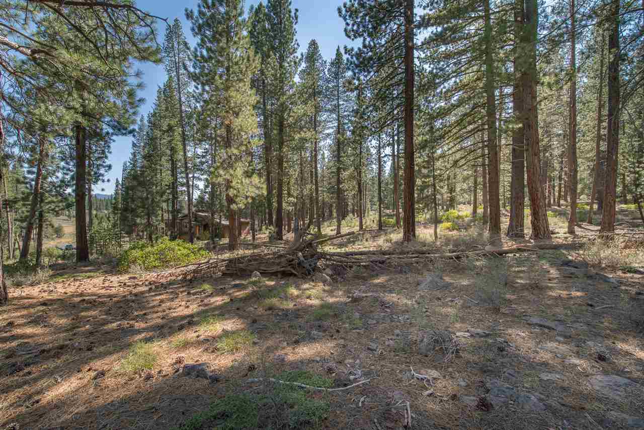 11800 Ghirard Road Truckee, CA 96161 - Photo 8 of 11 Gallery Image 8