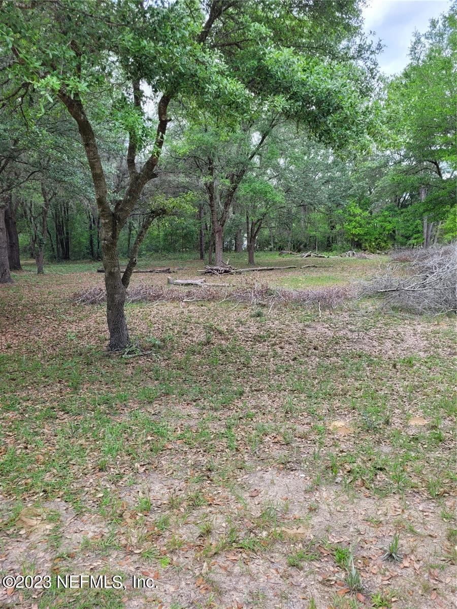 Lot 10 Magnolia Road Hawthorne, FL 32640 - Photo 7 of 7 a view of outdoor space and yard
