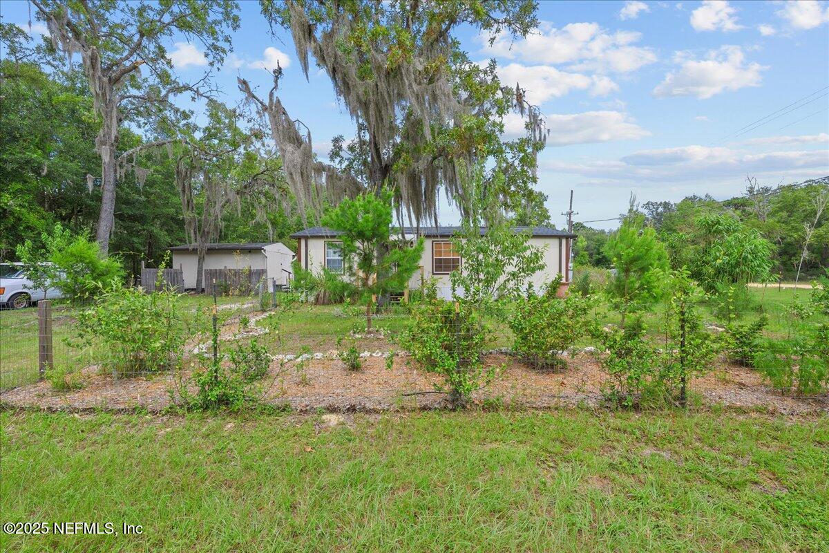 a view of a garden with a fountain