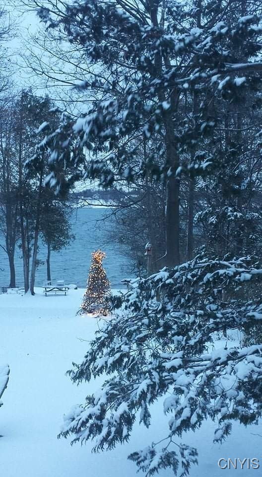 3435 East Lake Road Skaneateles, NY 13152 - Photo 49 of 50